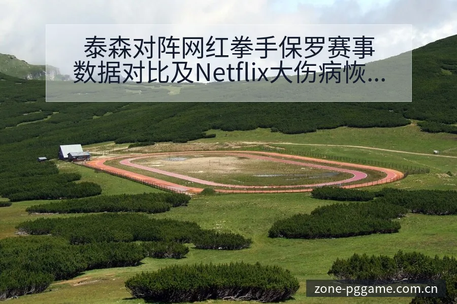 泰森对阵网红拳手保罗赛事数据对比及Netflix大伤病恢 - PG官方网站