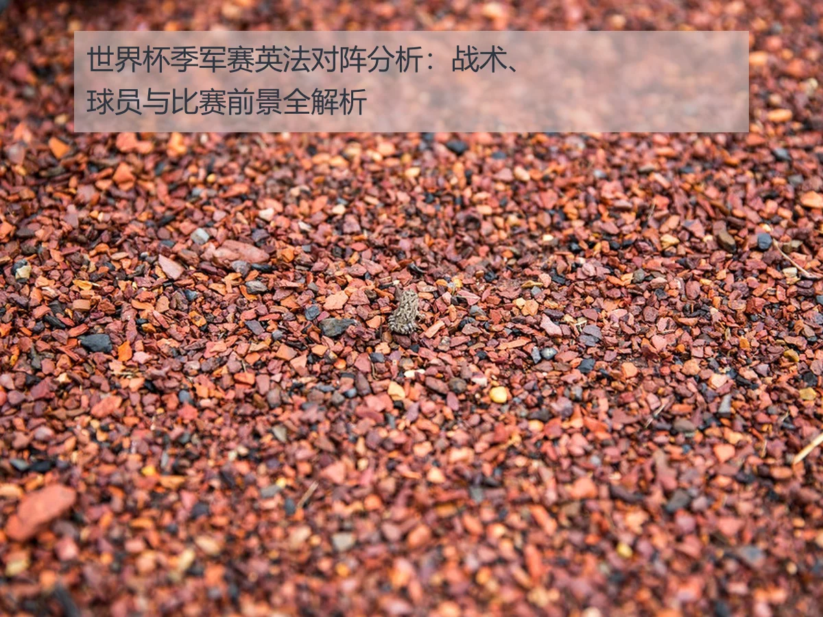 世界杯季军赛英法对阵分析:战术、球员与比赛前景全解析